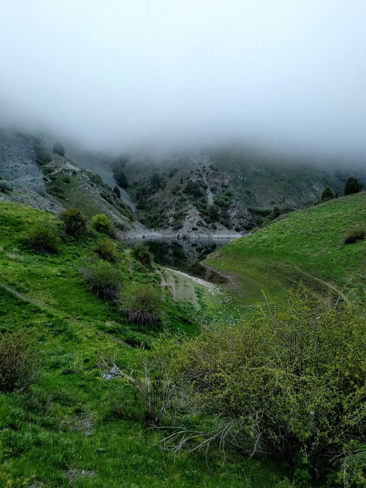 Photograph by Наиля Омарова