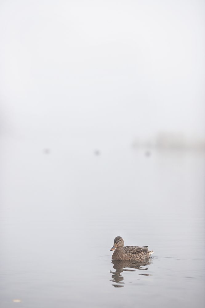 Photograph by LIDIYA HOLD