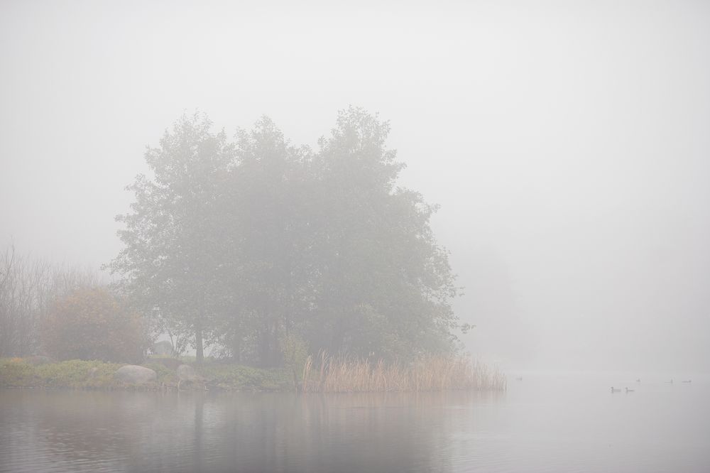 Photograph by LIDIYA HOLD