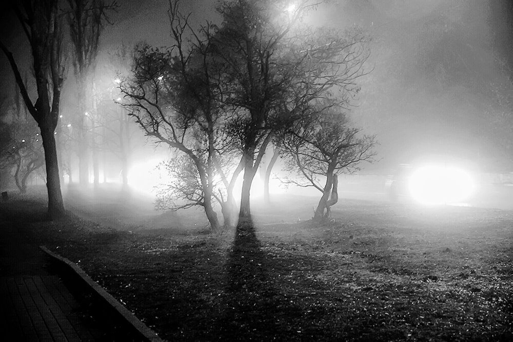 Photograph by Нина Косаченко