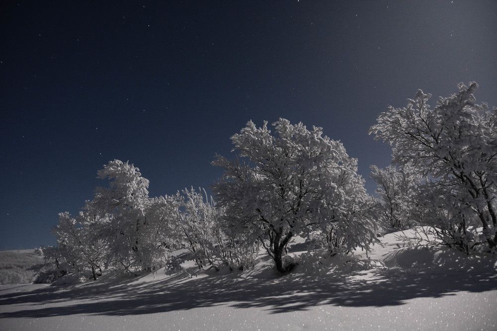 Лунный свет