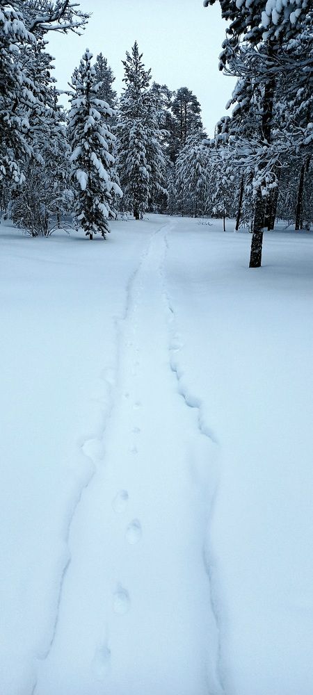 Photograph by Дмитрий Юдин