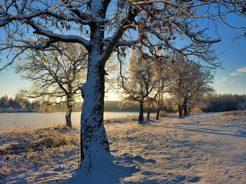 Утро в Грумантах