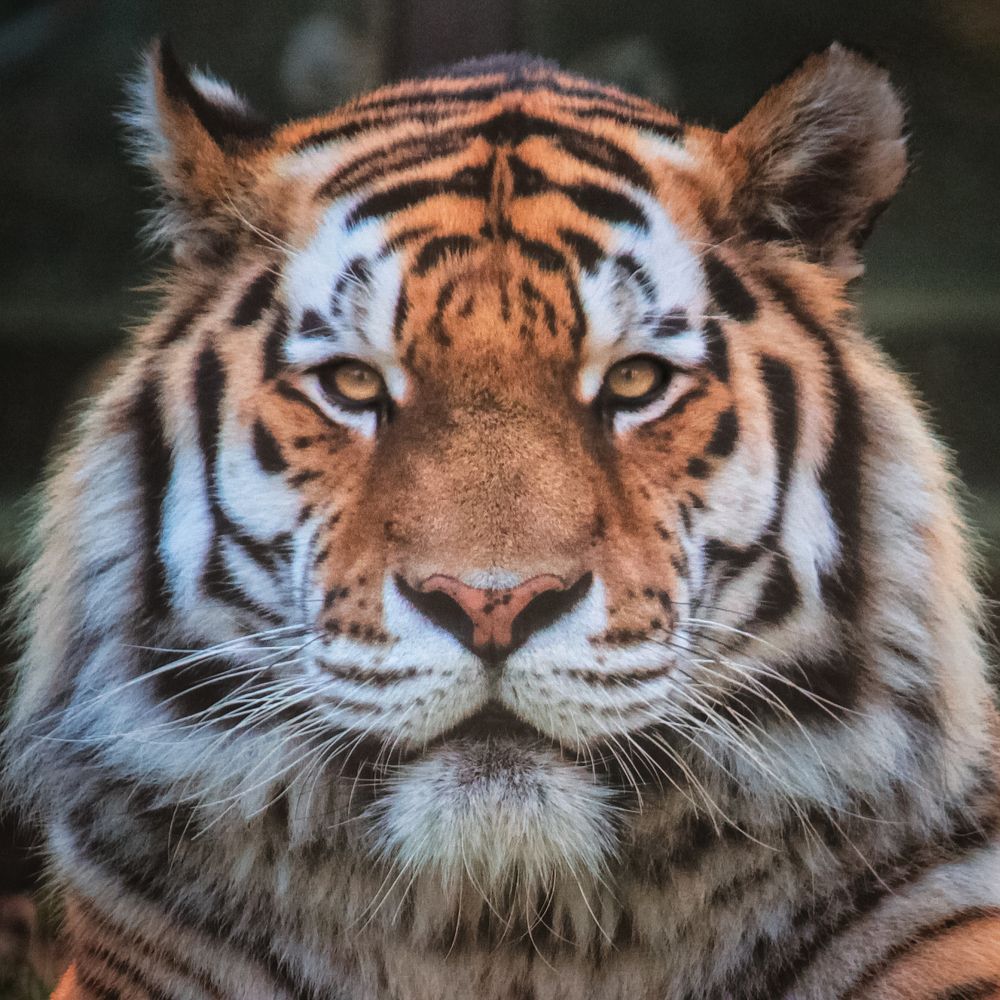 Photograph by Ирина Салминен