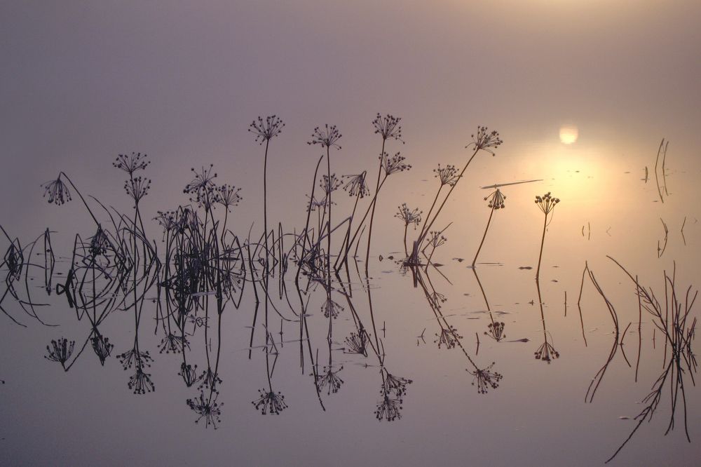 Photograph by Сергей Чарушин