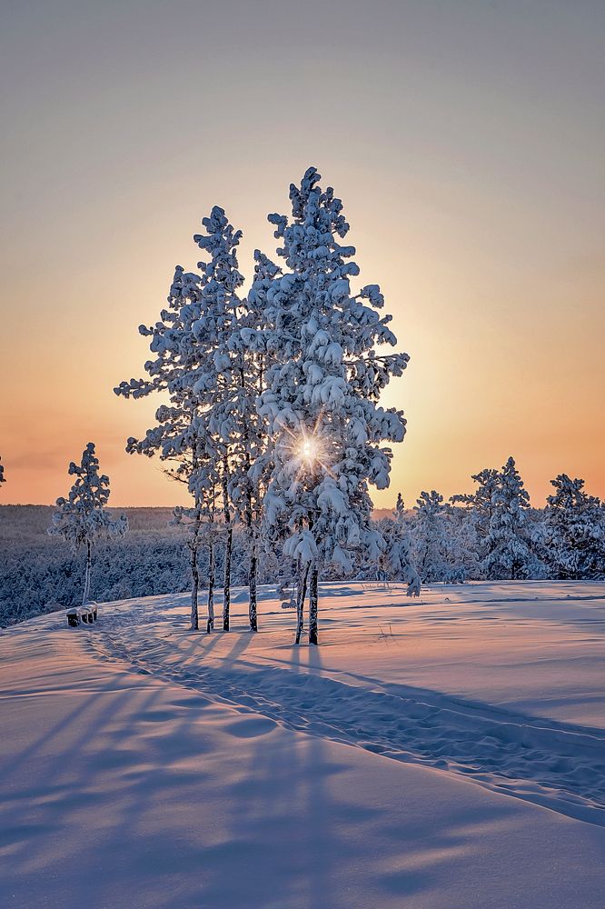 Мороз и солнце