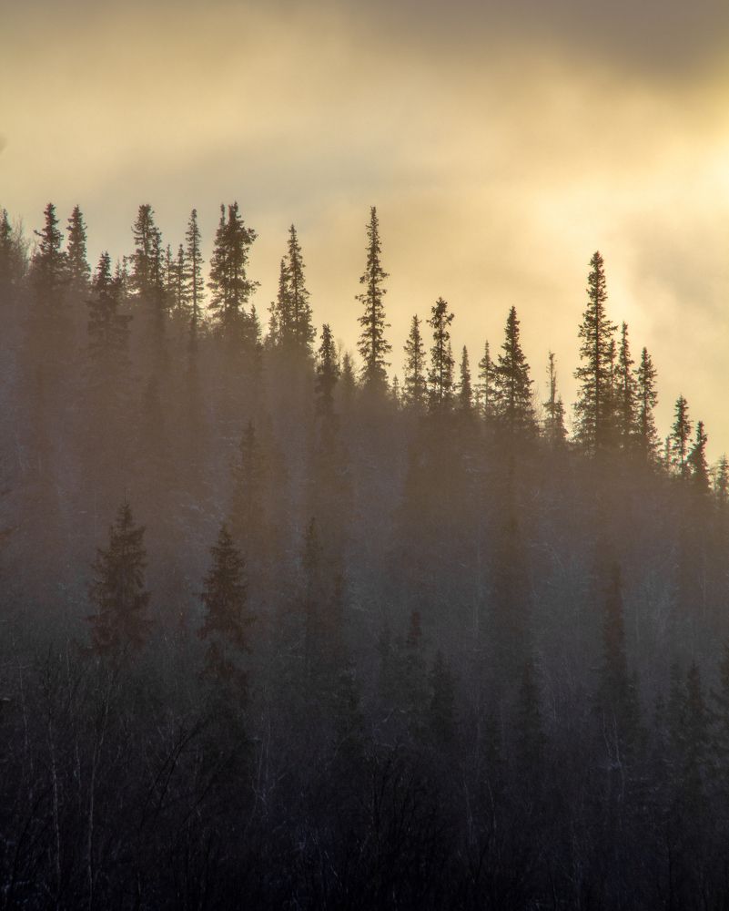 Photograph by Ирина Крепак