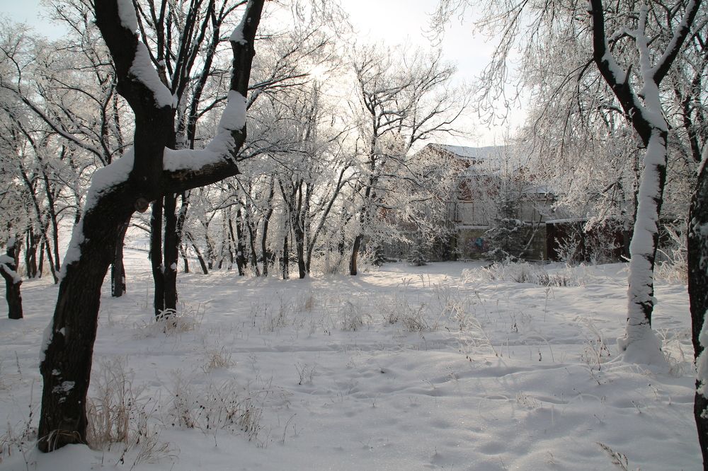 Photograph by Артем Илошваи