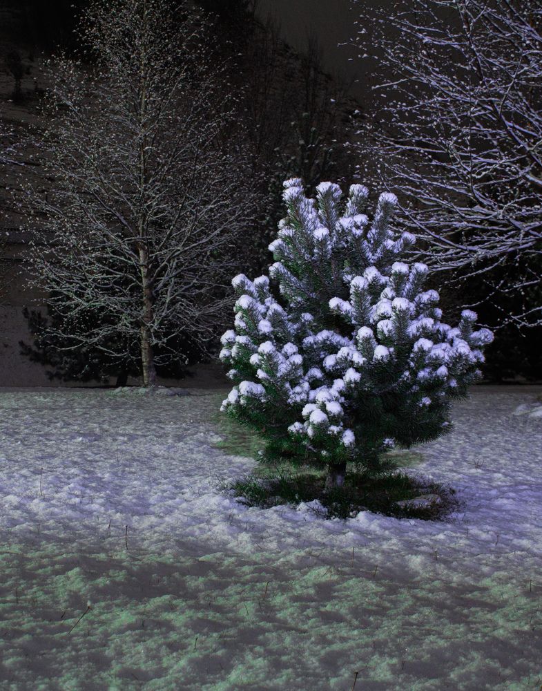 Photograph by Ронжин Дмитрий