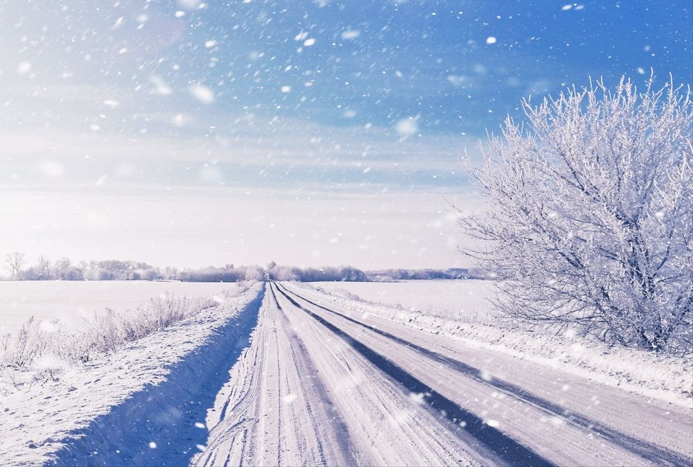 Photograph by Victoriia