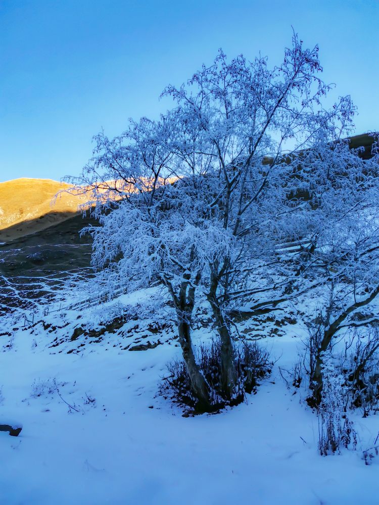 Photograph by Ронжин Дмитрий