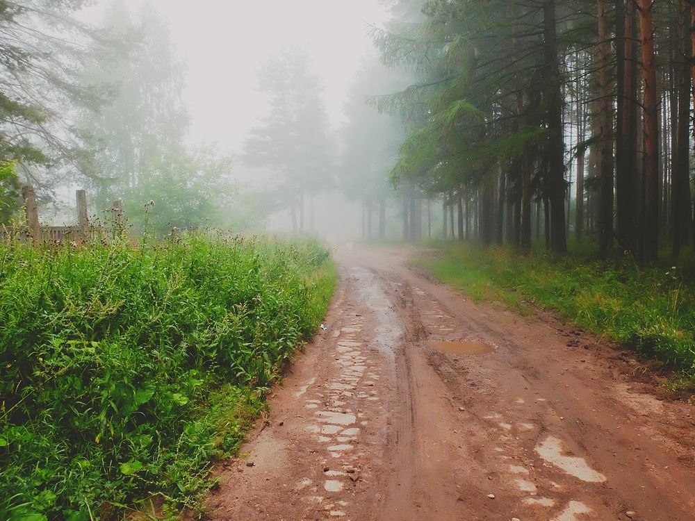 Фотография автора наталья перешеина