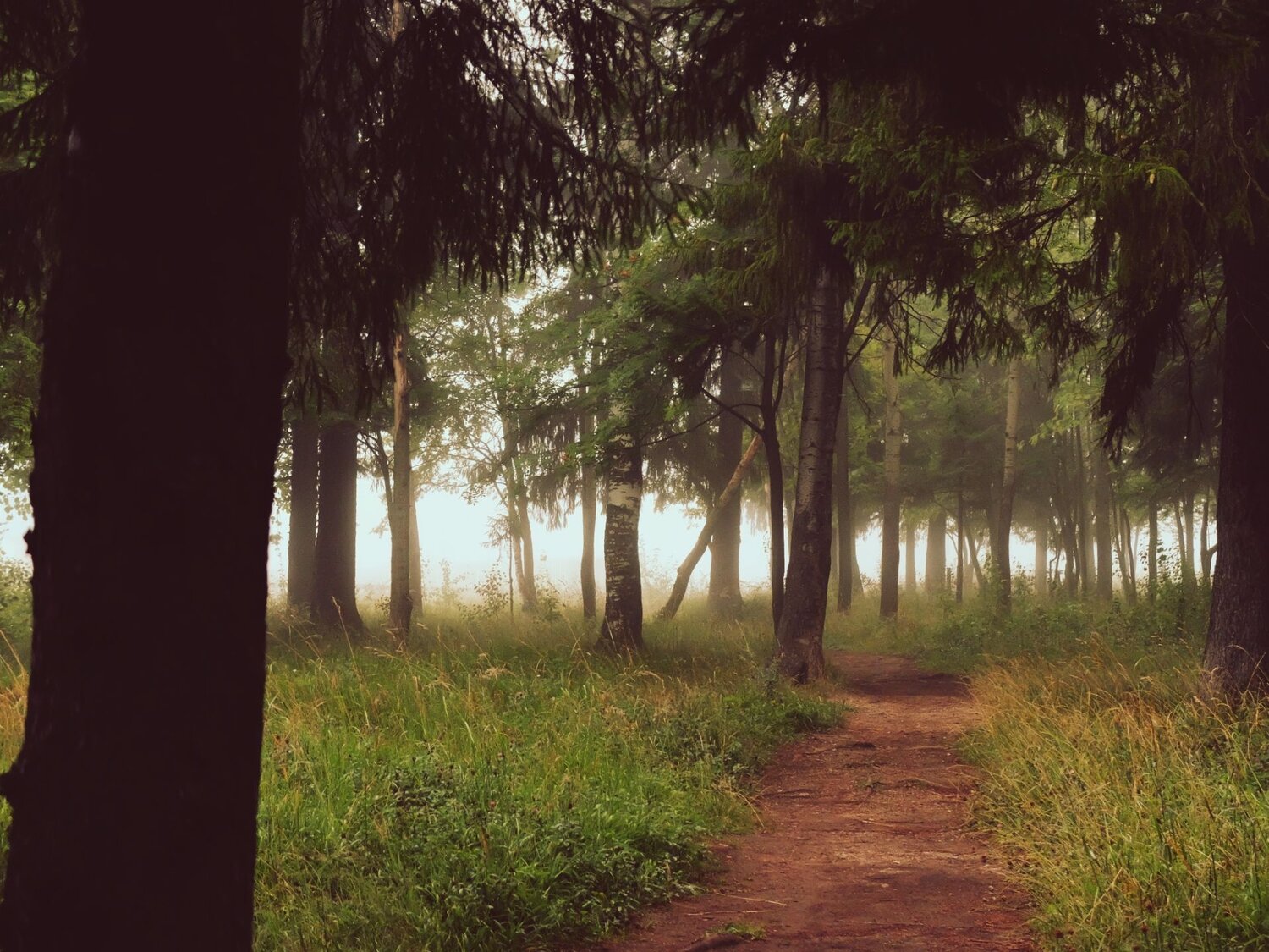 Photo #6889741