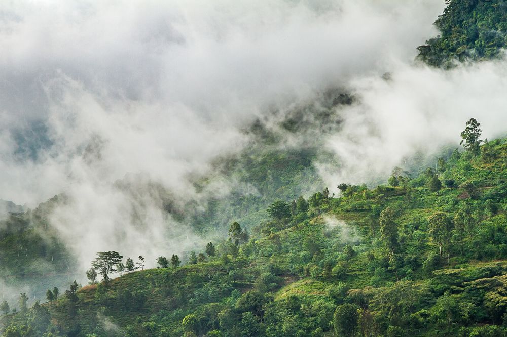 Фотография автора Андрей Пожарский