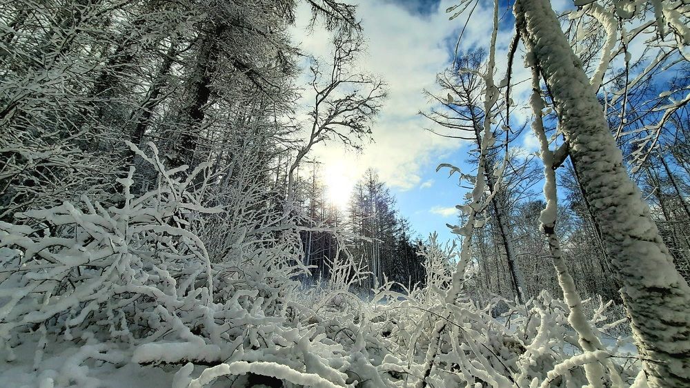 Photograph by Sergei Malyuga