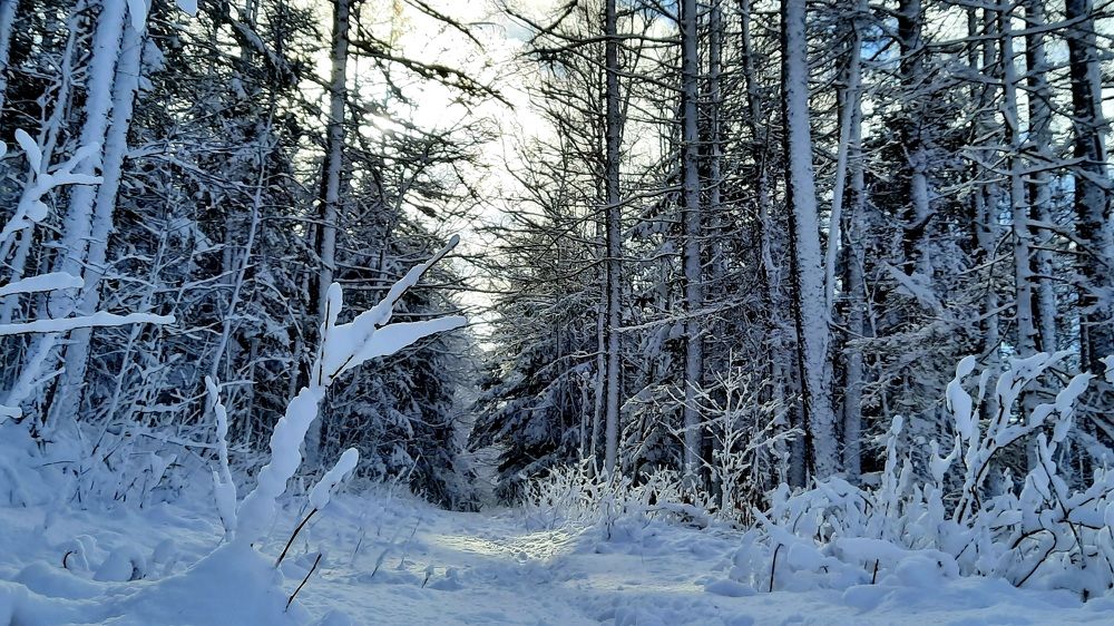 Photograph by Sergei Malyuga