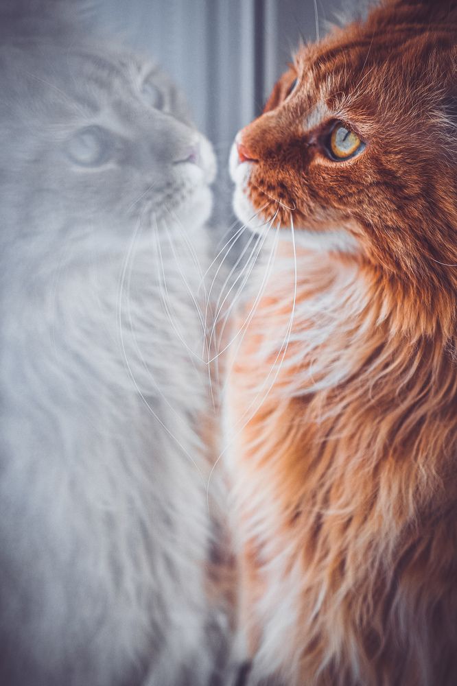Photograph by Елизавета Изотова