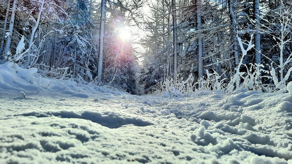 Photograph by Sergei Malyuga