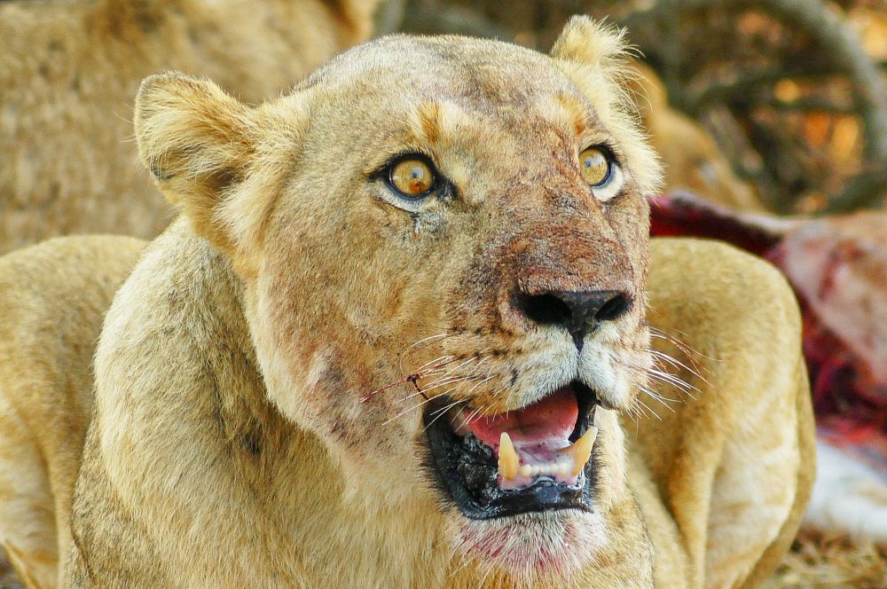 Photograph by Василий Кульков