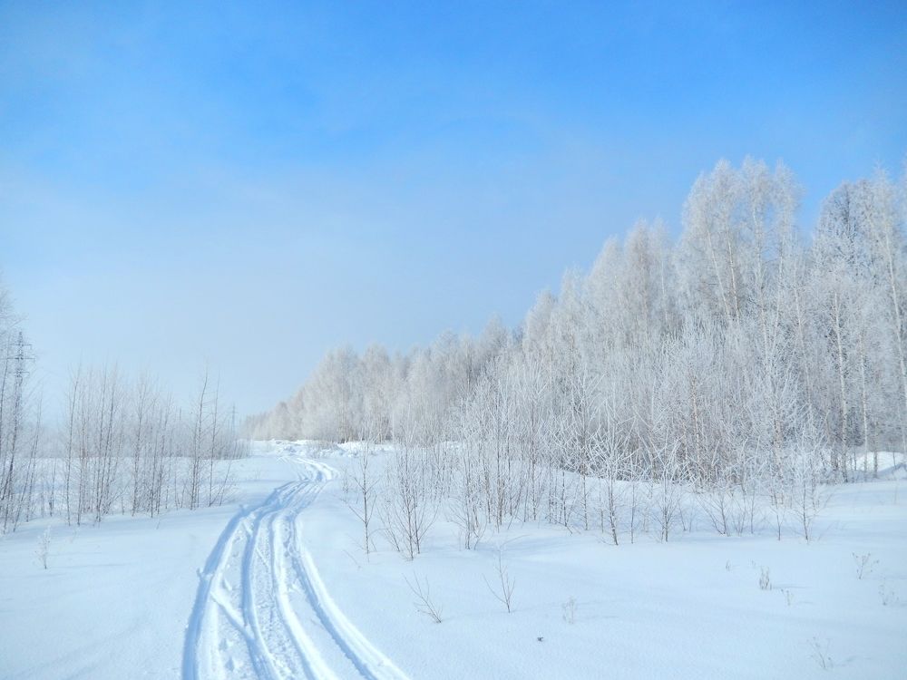 Фотография автора Клавдия Васильева