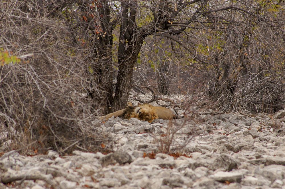 Photograph by Василий Кульков