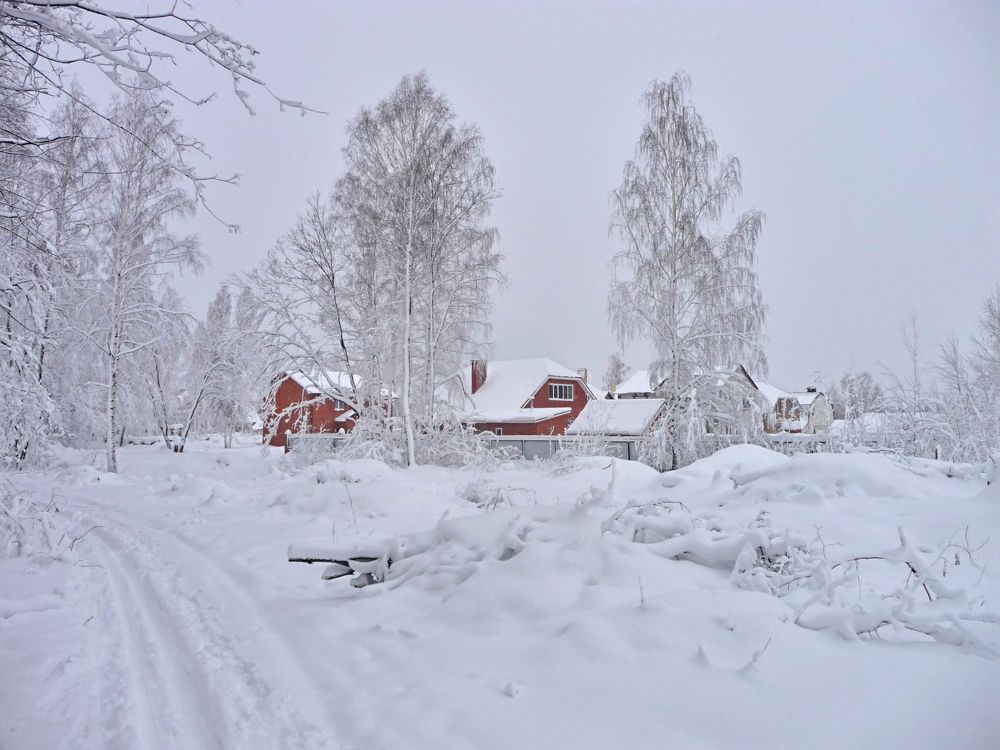 Фотография автора Клавдия Васильева