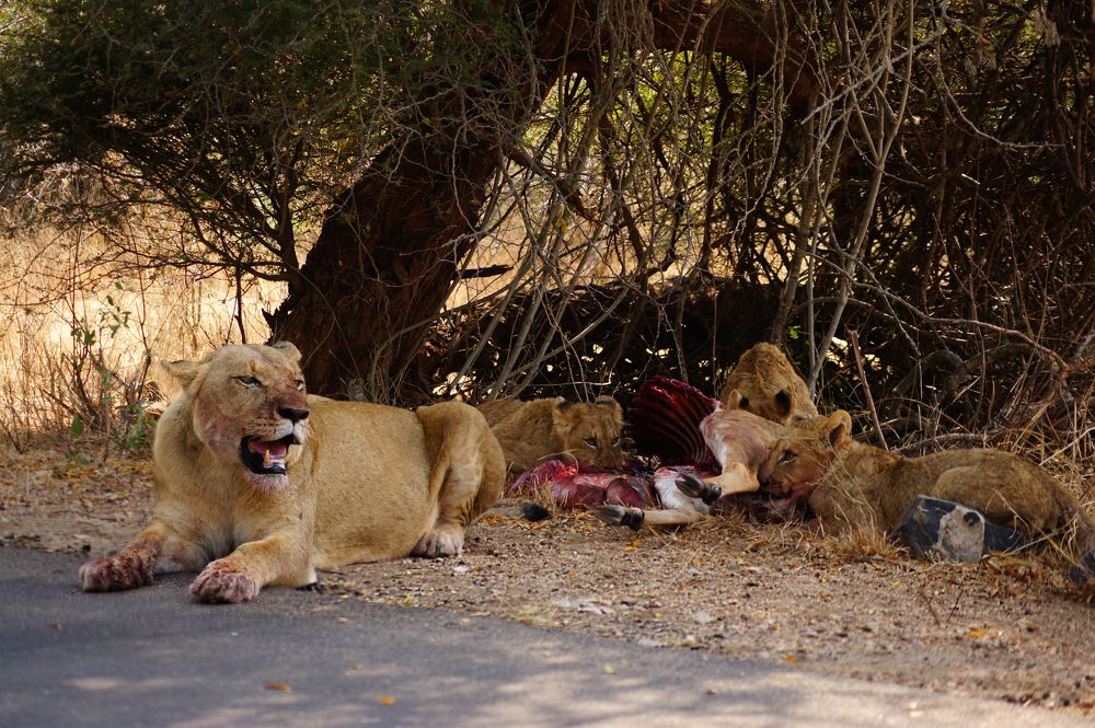 Photograph by Василий Кульков