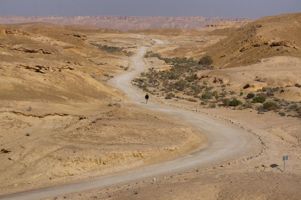 Photograph by Василий Кульков