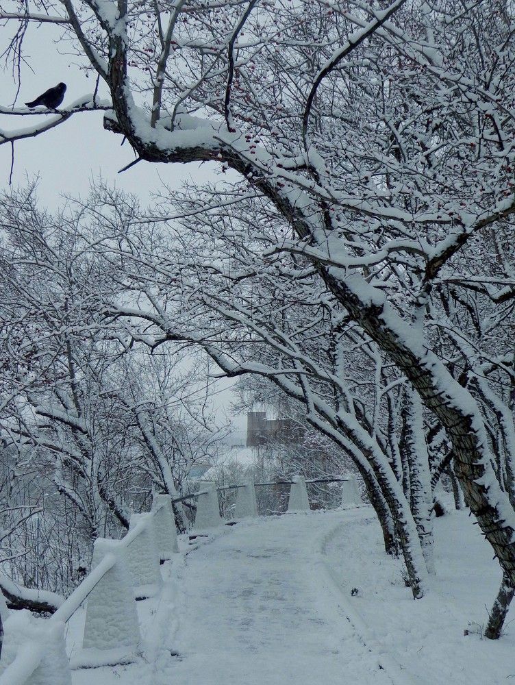 Photograph by Наталья Сазонова