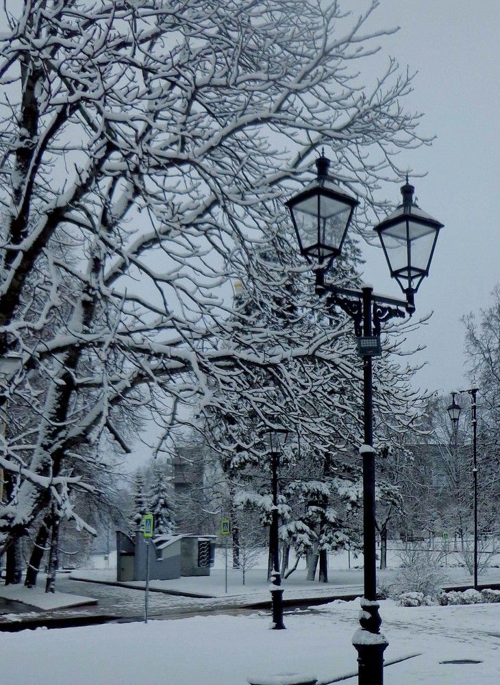 Photograph by Наталья Сазонова