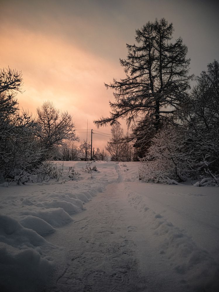 Photograph by Александр Безуглый