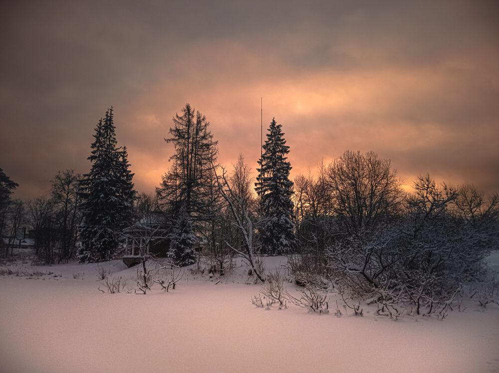 Photograph by Александр Безуглый