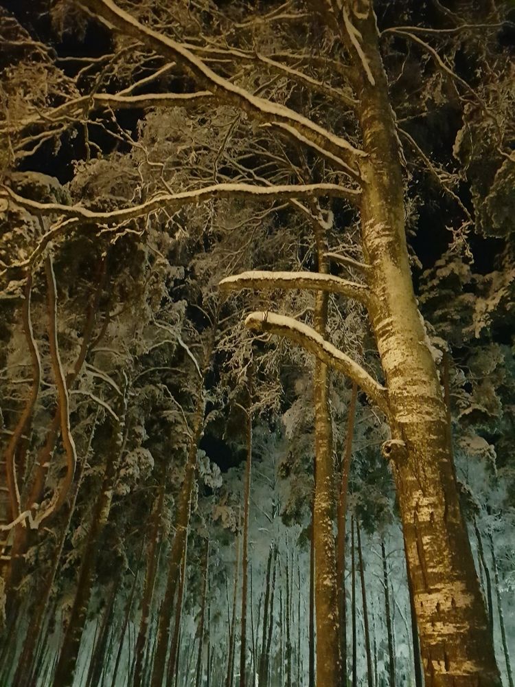 Photograph by Татьяна Олефиренко