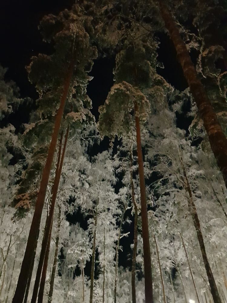 Photograph by Татьяна Олефиренко