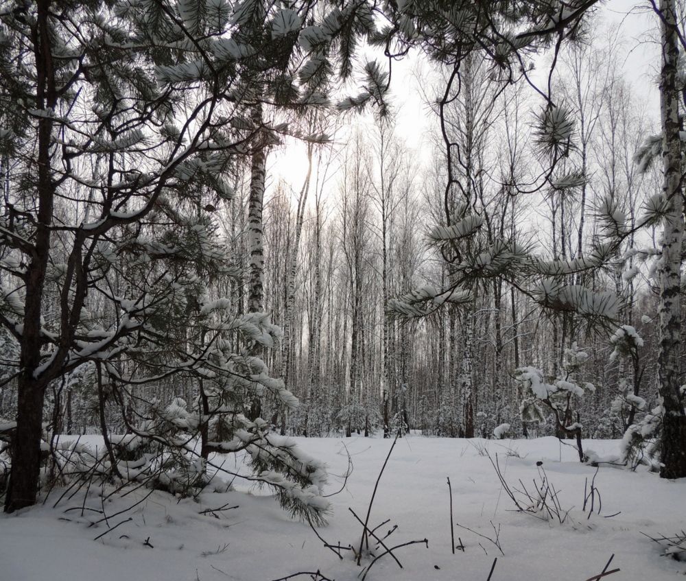 Фотография автора Роман Савоцкий