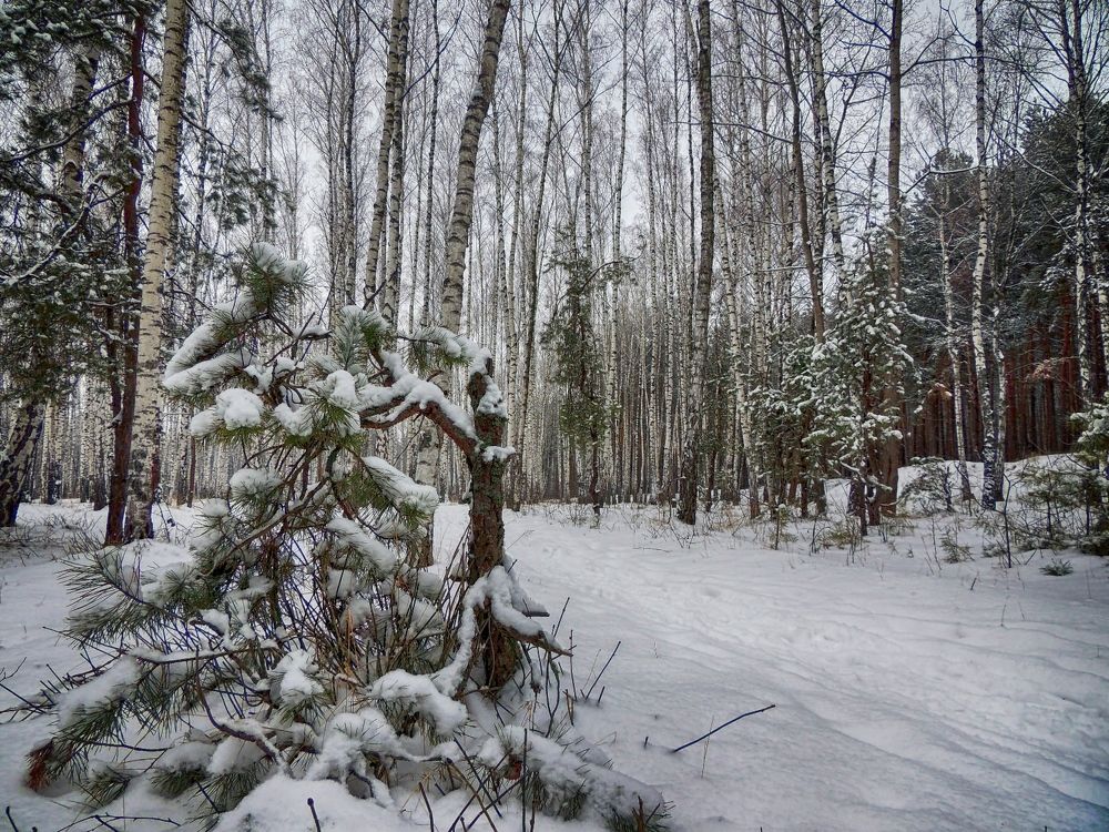 Фотография автора Роман Савоцкий