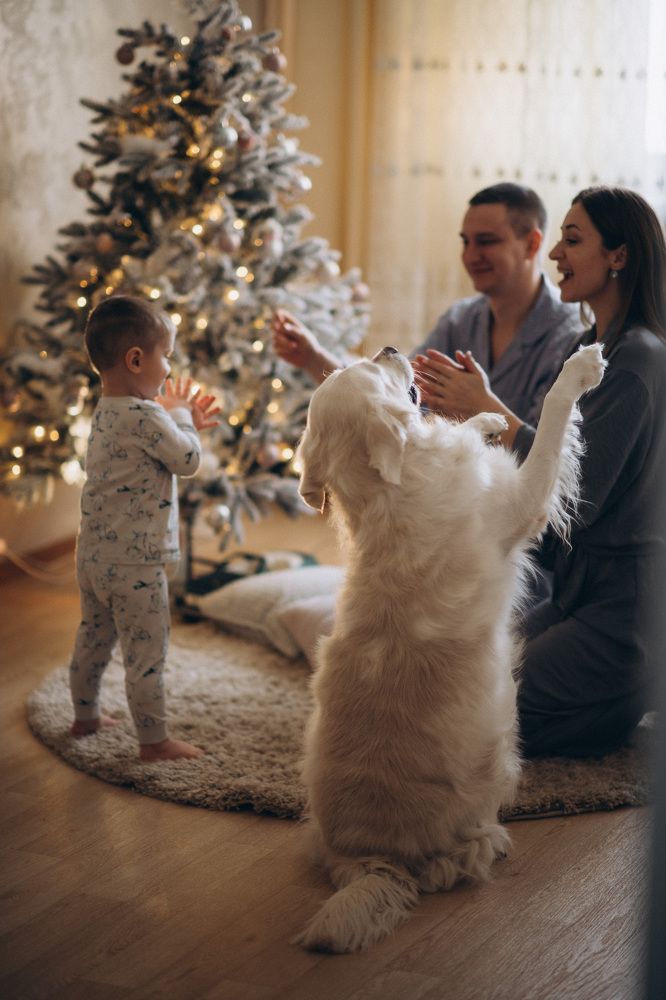 Photograph by Анна Белка