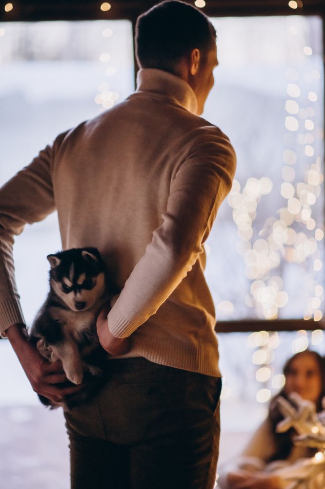 Photograph by Анна Белка