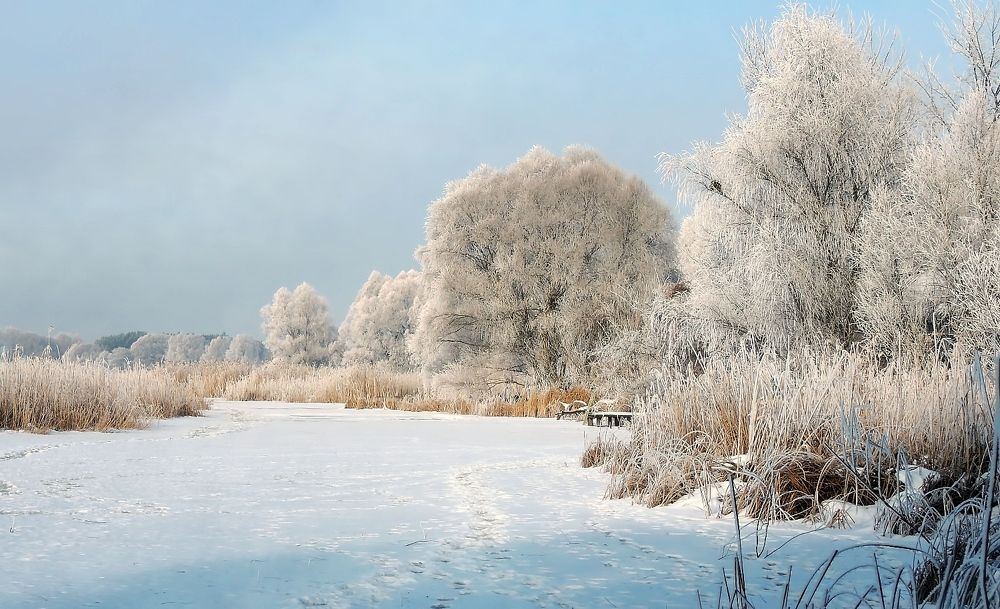 Photograph by Савоцкий Роман