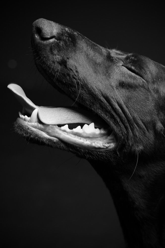 Photograph by Milla Malova