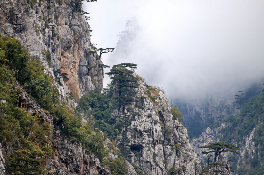 Туман в горах. Черногория.