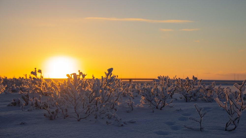 Photograph by Антон Дроздов