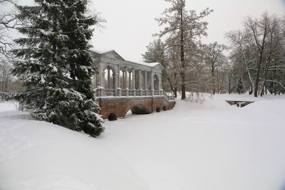 Photograph by Николай Бакулин