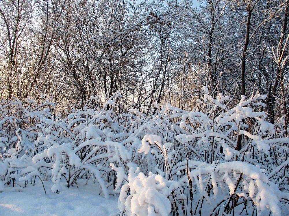 Photograph by Анастасия Старикова