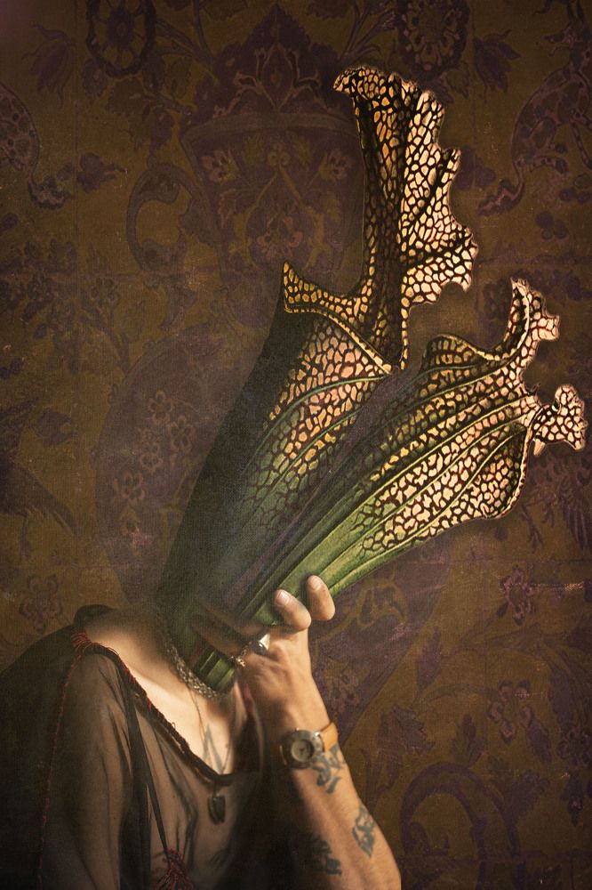 Photograph by Arlen Keshishian