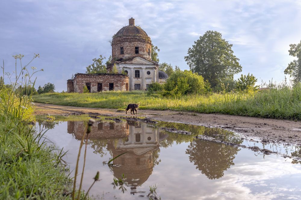 Photograph by Елена Гусева