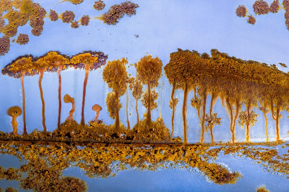 Photograph by Сергей Чарушин