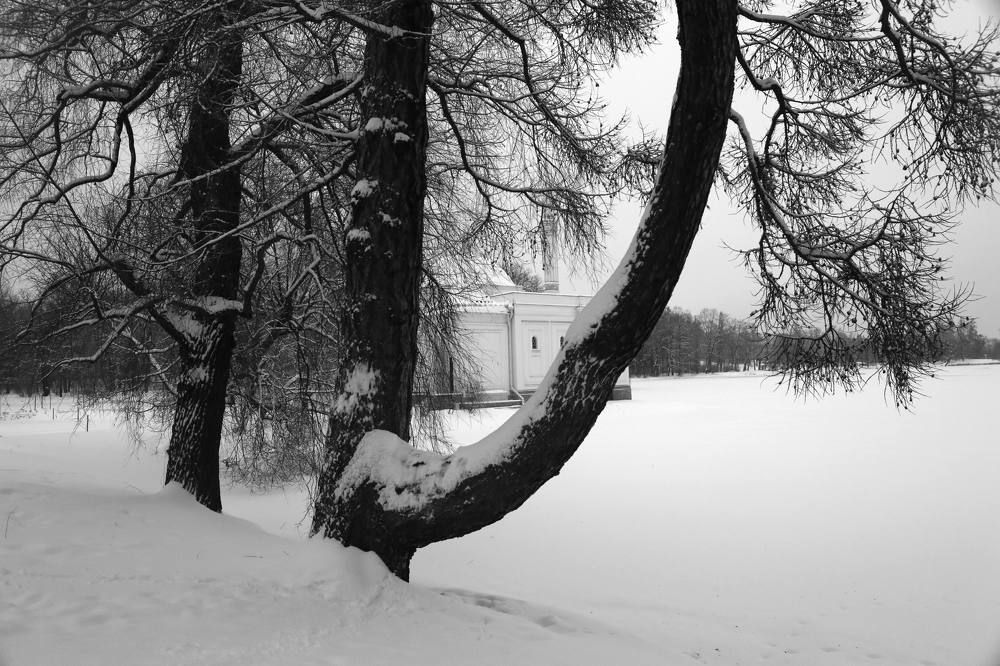 Photograph by Николай Бакулин