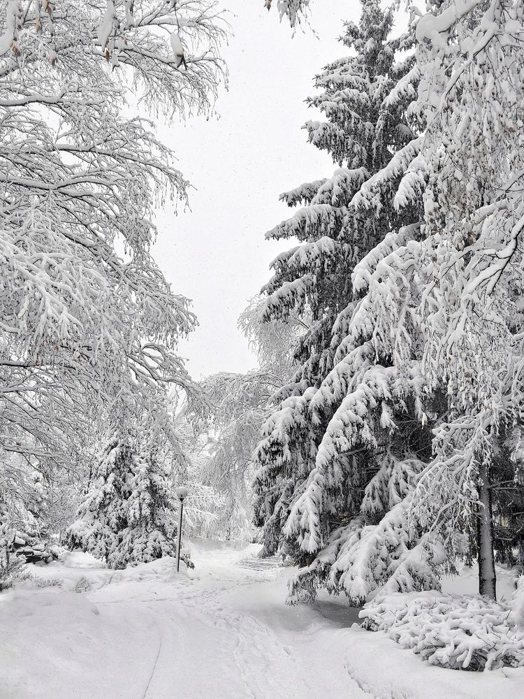 Photograph by Юлия Поликарпова