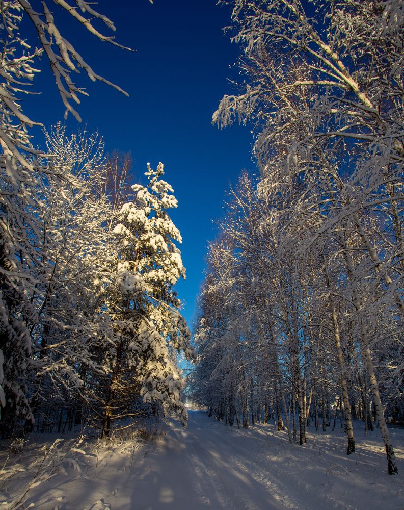 Фотография автора Виталий Зейфер